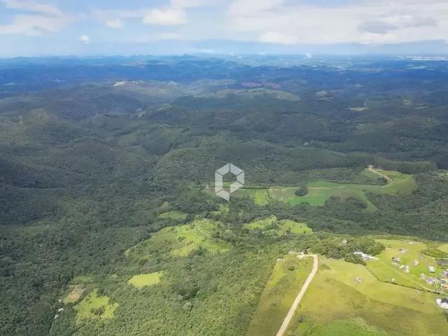 Terreno / Lote para Venda em Balsa Nova/PR São Luiz do Purunã