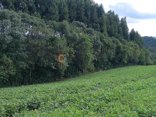 Terreno / Lote para Venda em Balsa Nova/PR Rodeio Santo Antônio