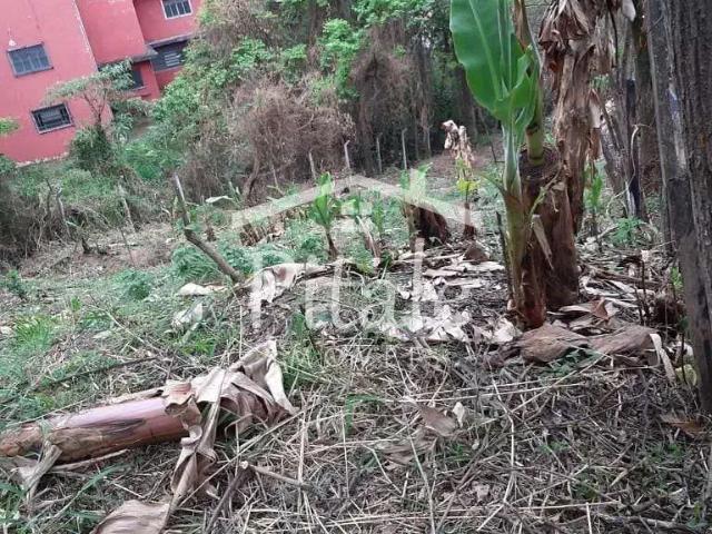 Terreno / Lote para Venda em Barueri/SP Chácaras Marco
