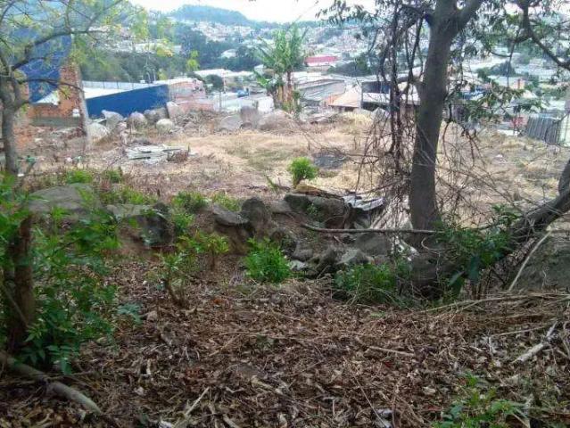 Terreno / Lote para Venda em Barueri/SP Jardim Flórida