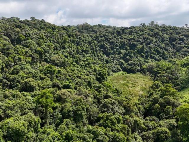 Terreno / Lote para Venda em Barueri/SP Vila Universal