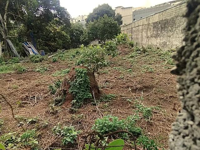 Terreno / Lote para Venda em Barueri/SP Vila Universal