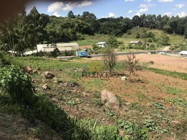 Terreno / Lote para Venda em Barão/RS Operário