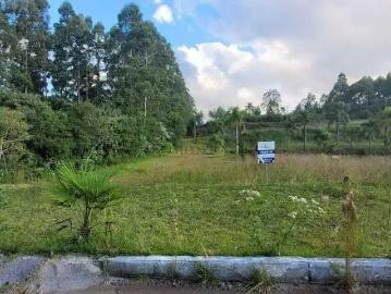 Terreno / Lote para Venda em Barão/RS Centro