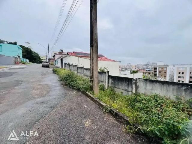 Terreno / Lote para Venda em Barbacena/MG Boa Morte