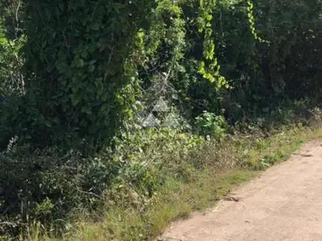 Terreno / Lote para Venda em Barra Velha/SC Itajubá