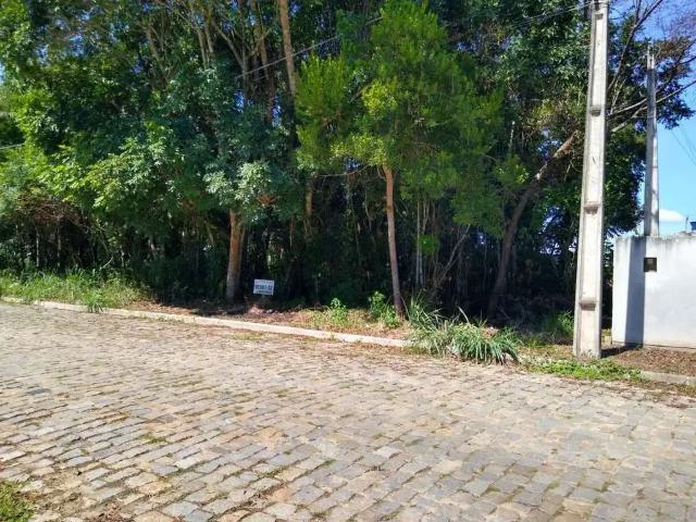 Terreno / Lote para Venda em Barra Velha/SC Quinta dos Açorianos
