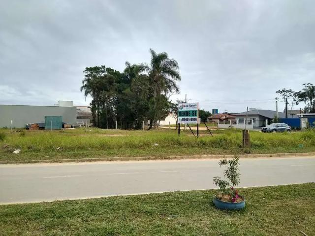 Terreno / Lote para Venda em Barra Velha/SC Quinta dos Açorianos
