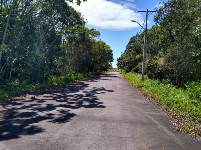 Terreno / Lote para Venda em Barra Velha/SC Quinta dos Açorianos