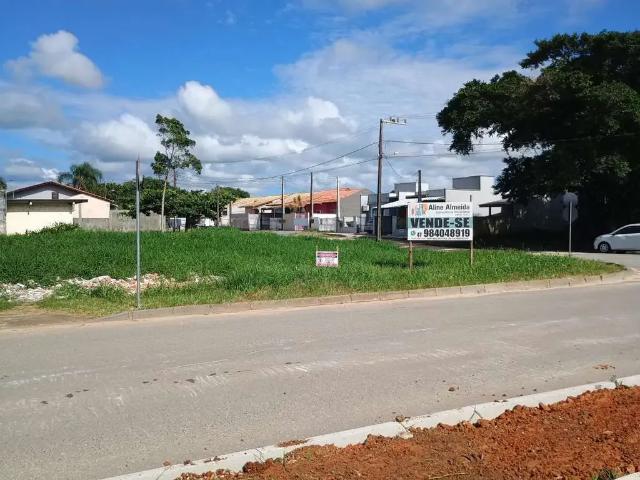 Terreno / Lote para Venda em Barra Velha/SC Quinta dos Açorianos