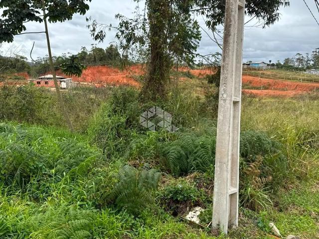 Terreno / Lote para Venda em Barra Velha/SC São Cristovão
