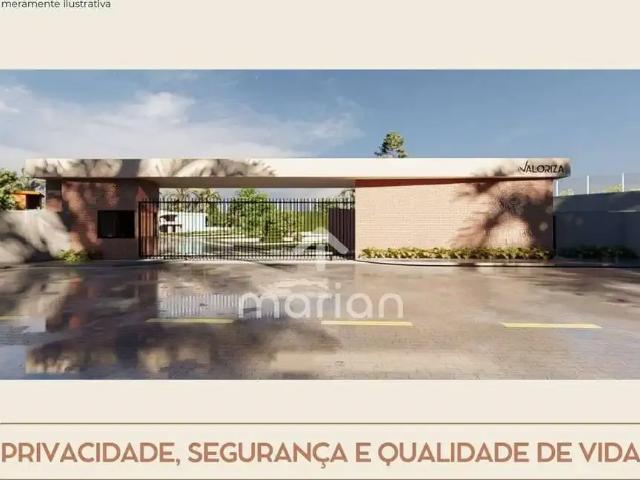 Terreno / Lote para Venda em Barra Velha/SC Sertãozinho