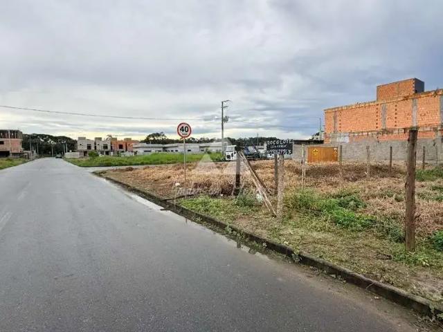 Terreno / Lote para Venda em Barra Velha/SC Vila Nova
