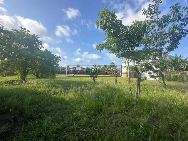 Terreno / Lote para Venda em Barra de Santo Antônio/AL Centro