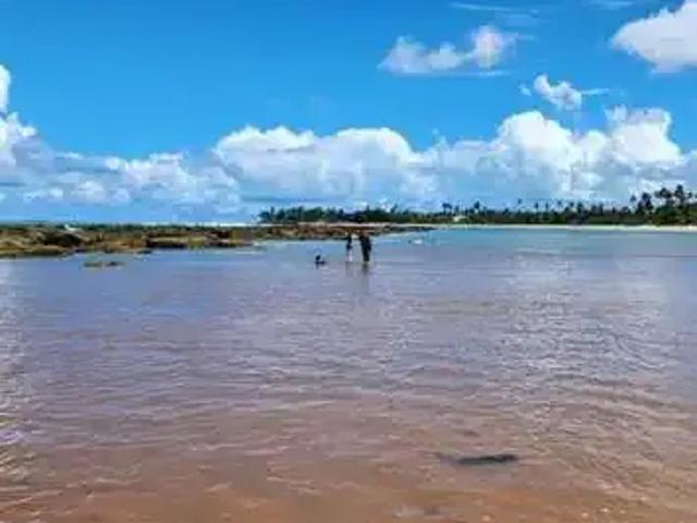 Terreno / Lote para Venda em Barra de Santo Antônio/AL Praia De Tabuba