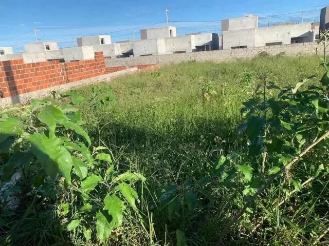 Terreno / Lote para Venda em Barra dos Coqueiros/SE Alphaville Sergipe