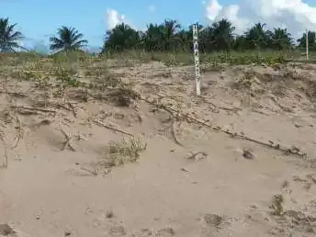 Terreno / Lote para Venda em Barra dos Coqueiros/SE Jatoba