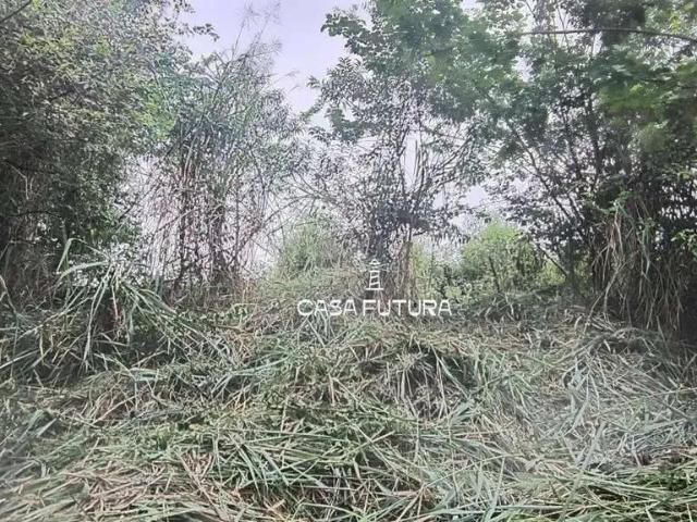 Terreno / Lote para Venda em Barra Mansa/RJ Jardim Alice
