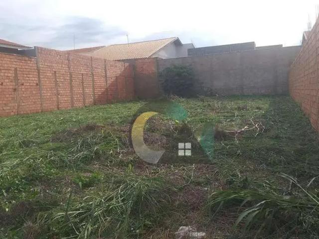 Terreno / Lote para Venda em Barretos/SP City Barretos