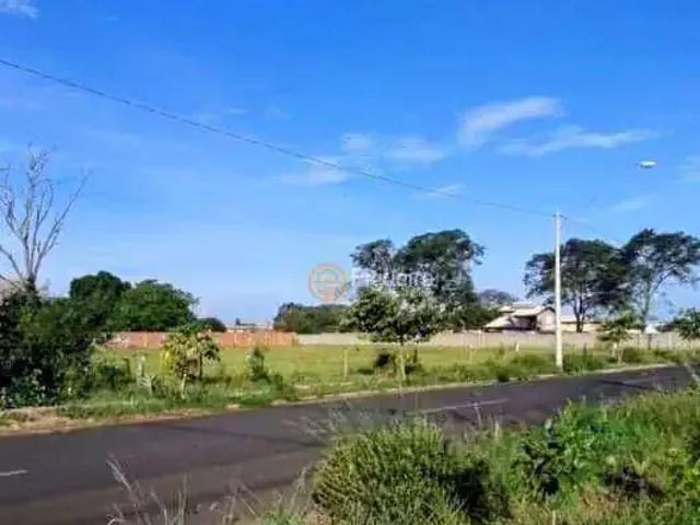 Terreno / Lote para Venda em Barretos/SP Jardim Anastácio