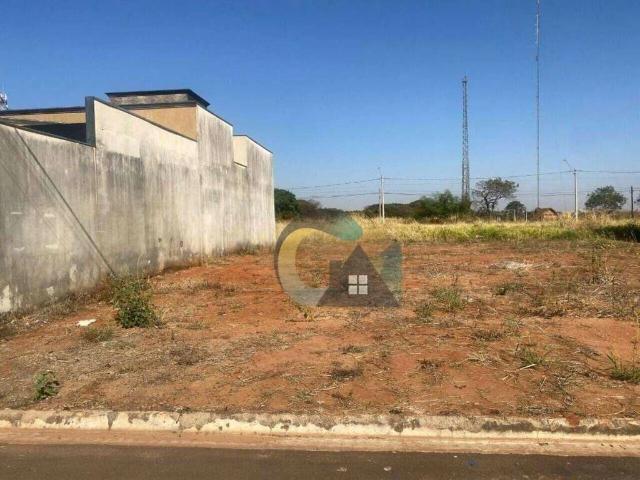 Terreno / Lote para Venda em Barretos/SP Jardim Europa