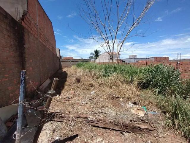 Terreno / Lote para Venda em Barretos/SP Jardim Nova Barretos II