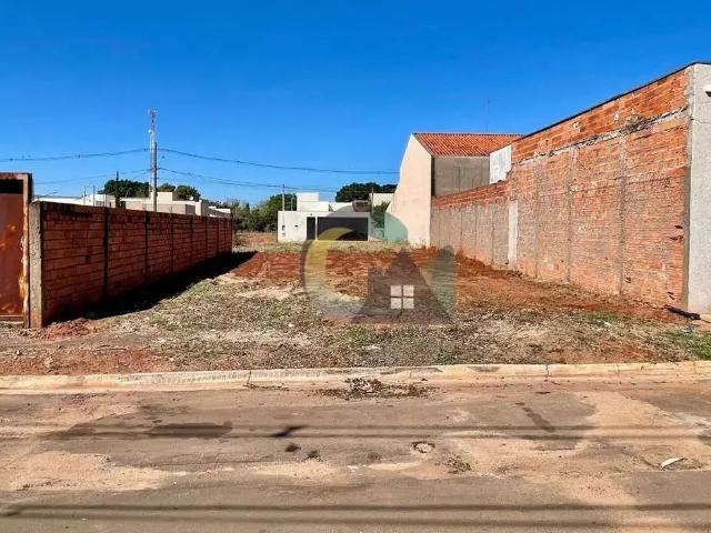 Terreno / Lote para Venda em Barretos/SP Jardim Planalto