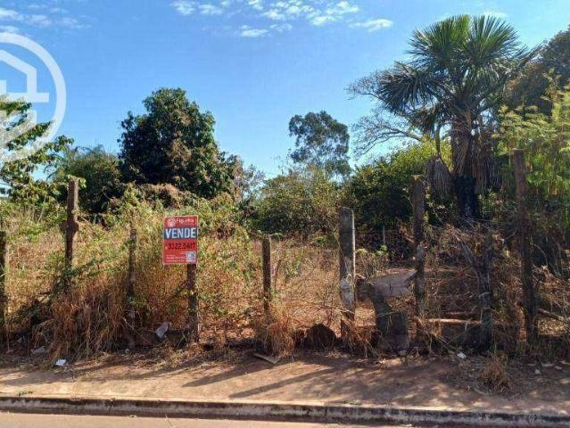 Terreno / Lote para Venda em Barretos/SP São Francisco