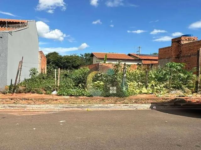 Terreno / Lote para Venda em Barretos/SP San Diego