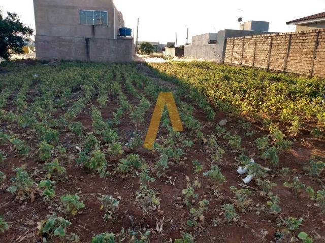 Terreno / Lote para Venda em Batatais/SP Aeroporto