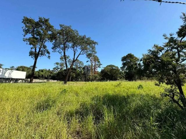 Terreno / Lote para Venda em Bauru/SP Núcleo Residencial Presidente Geisel