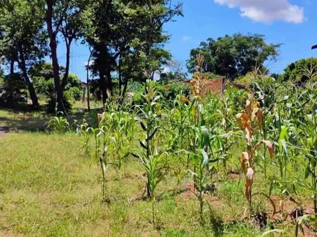 Terreno / Lote para Venda em Bauru/SP Chácara São João