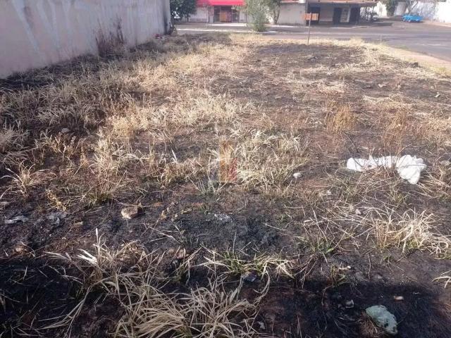Terreno / Lote para Venda em Bauru/SP Fundação Casas Populares Salvador Filardi