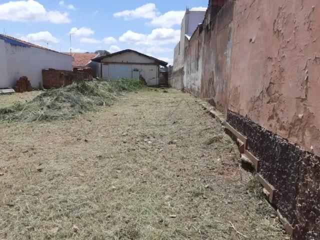Terreno / Lote para Venda em Bauru/SP Jardim Terra Branca