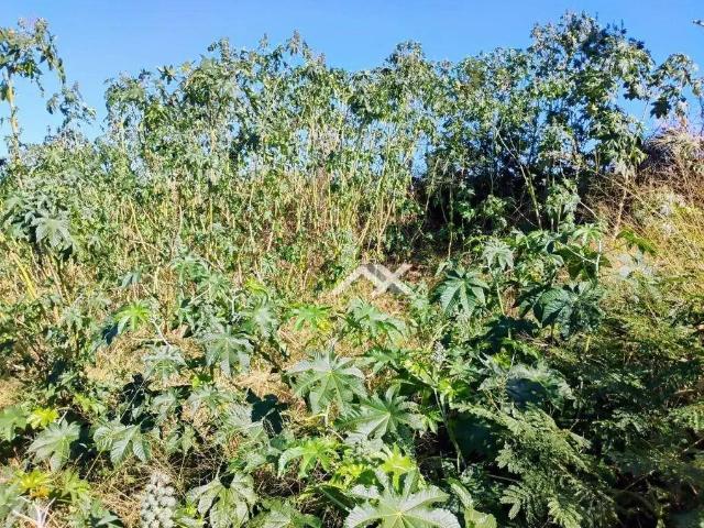 Terreno / Lote para Venda em Bauru/SP Jardim América