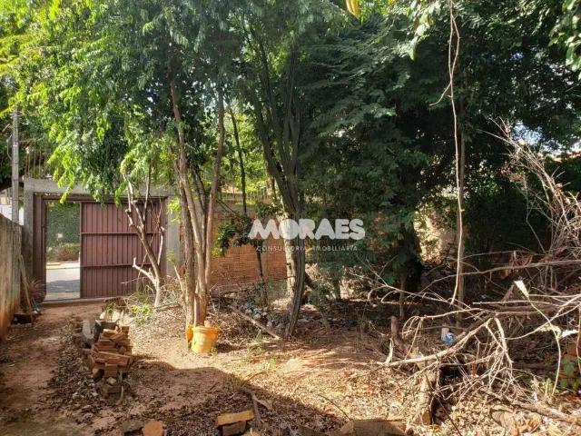 Terreno / Lote para Venda em Bauru/SP Jardim América