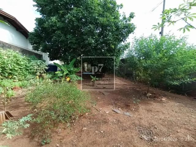 Terreno / Lote para Venda em Bauru/SP Jardim Eugênia