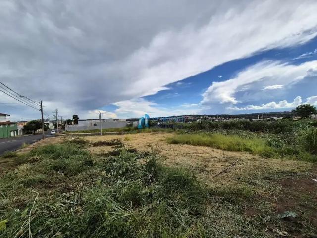 Terreno / Lote para Venda em Bauru/SP Jardim Paulista