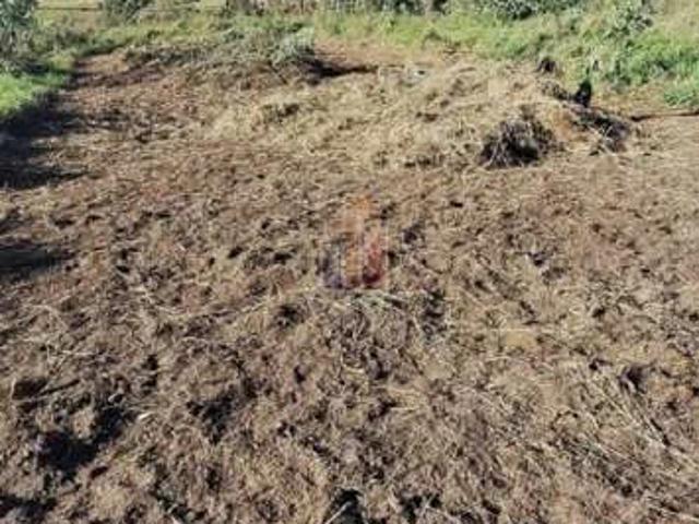 Terreno / Lote para Venda em Bauru/SP Parque Val de Palmas