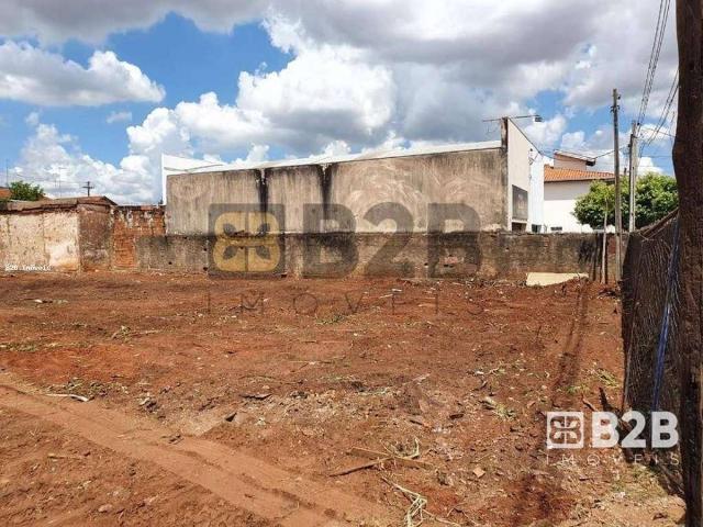 Terreno / Lote para Venda em Bauru/SP Parque Hipódromo