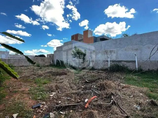 Terreno / Lote para Venda em Bauru/SP Parque Jardim Europa
