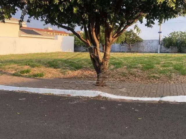Terreno / Lote para Venda em Bauru/SP Quinta Ranieri
