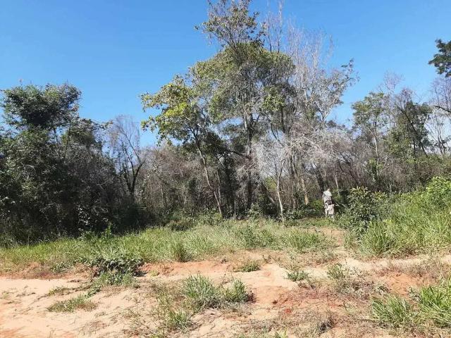 Terreno / Lote para Venda em Bauru/SP Vale do Igapó