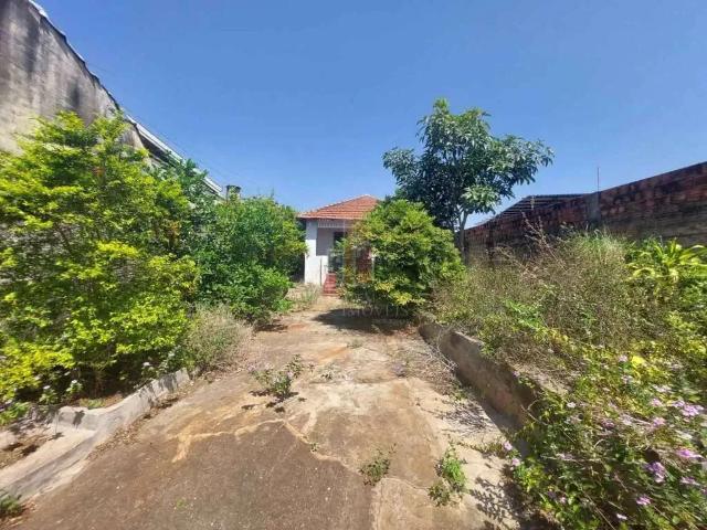 Terreno / Lote para Venda em Bauru/SP Vila Cardia