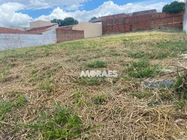 Terreno / Lote para Venda em Bauru/SP Vila Falcão