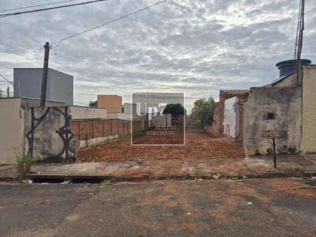Terreno / Lote para Venda em Bauru/SP Vila Nova Nipônica