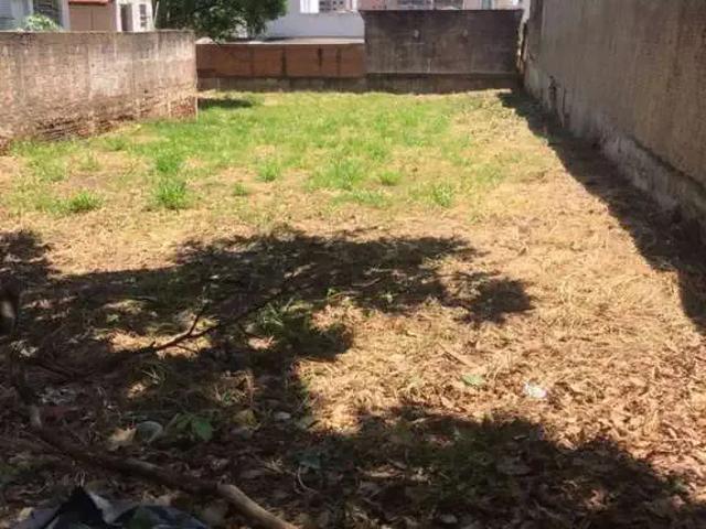 Terreno / Lote para Venda em Bauru/SP Vila Santo Antônio