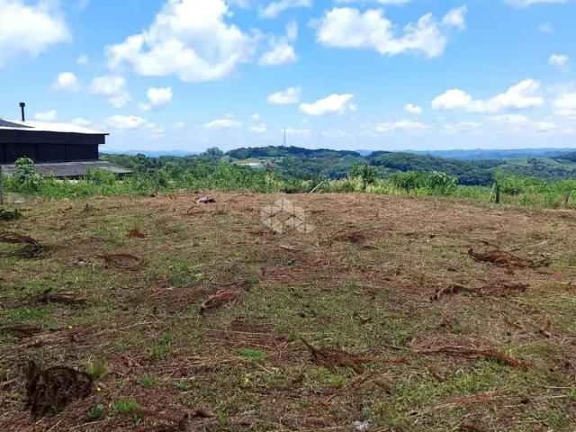 Terreno / Lote para Venda em Bento Gonçalves/RS Tuiuty Distrito