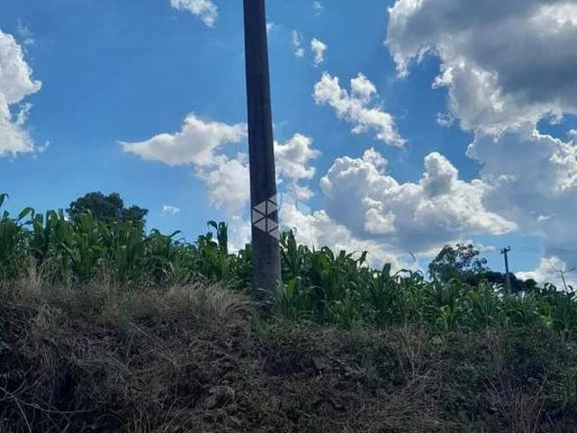 Terreno / Lote para Venda em Bento Gonçalves/RS Tuiuty Distrito