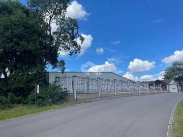 Terreno / Lote para Venda em Bento Gonçalves/RS Tuiuty Distrito